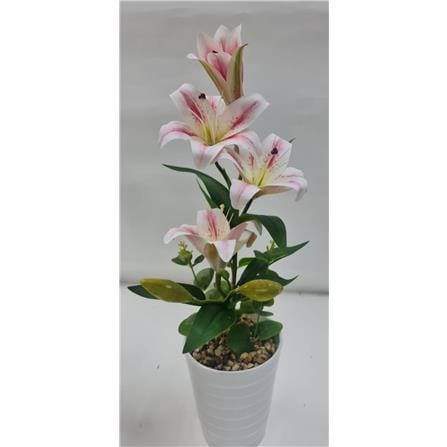 CL LILY POTTED FLOWER GF301