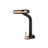 MD WALL KITCHEN SINK TAP TF-SPNL-MGD BLACK GOLD