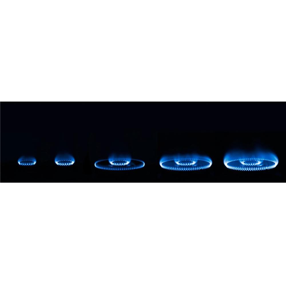 RINNAI FLEXIBLE GAS HOB RB-72G 2BURNER 5.5KW 77CM