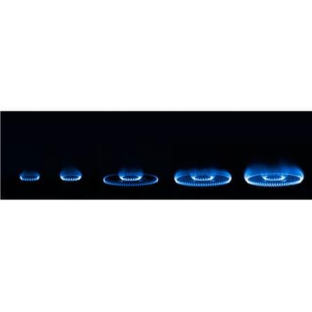 RINNAI FLEXIBLE GAS HOB RB-72G 2BURNER 5.5KW 77CM