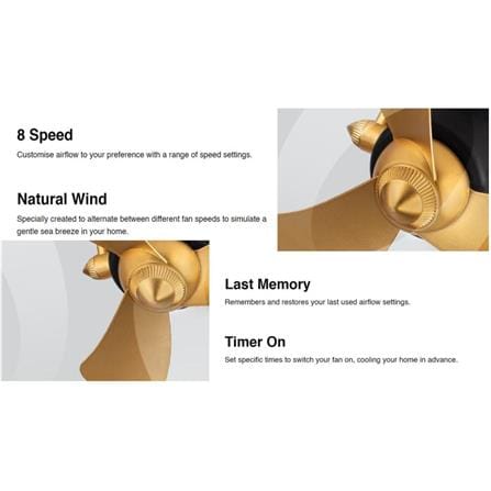 ALPHA CEILING FAN ALKOVA KONA 3B MAJESTIC GOLD/MATT BLACK 16"