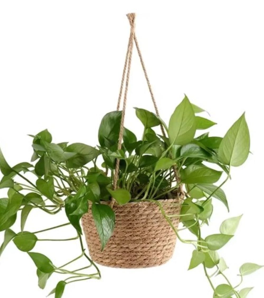 CL WOVEN BSKT HANGING POT GQ210-PC H20CM