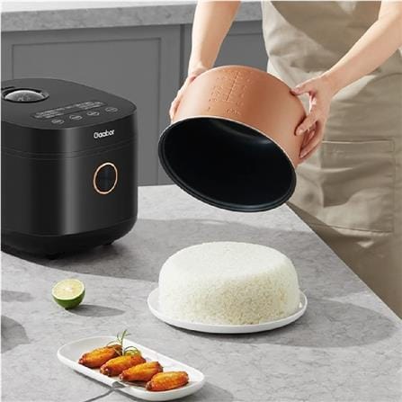 GAABOR MICROCOMPUTER RICE COOKER RC18T-BK01A 860W 5L