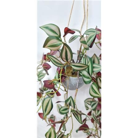 CL ARTIFICIAL HANGING VINE IVY VINE EYEBROWS GP721 37CM