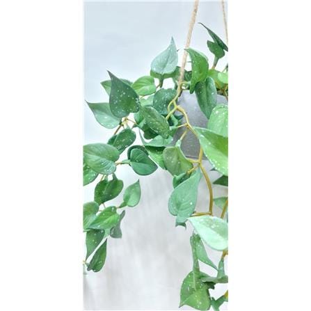 CL ARTIFICIAL HANGING VINE ANTHURIUM LEAF GP723 33CM