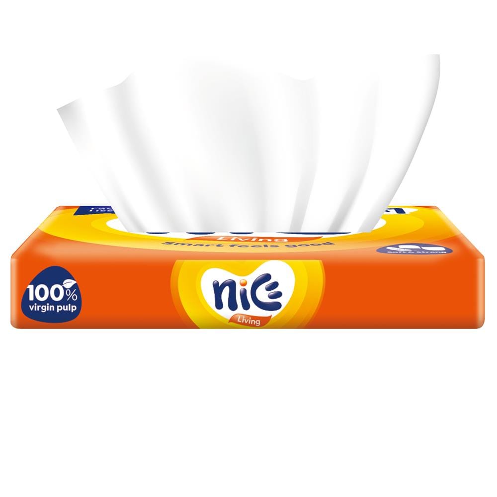 NICE TRAVEL PACK TISSUE 2PLY 24X38S