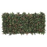 EXPANDING TRELLIS SPRING PHOTIN 200X100CM [EXCLUSIVE FROM HOMEPRO THAILAND]