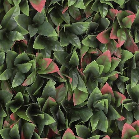 EXPANDING TRELLIS SPRING PHOTIN 200X100CM [EXCLUSIVE FROM HOMEPRO THAILAND]
