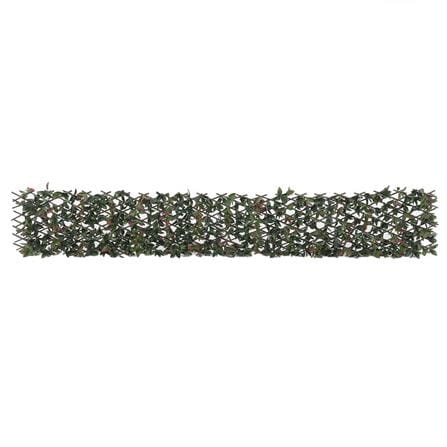 EXPANDING TRELLIS SPRING PHOTIN 200X100CM [EXCLUSIVE FROM HOMEPRO THAILAND]