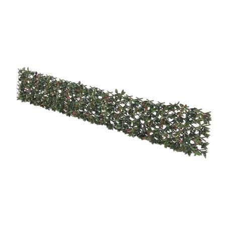 EXPANDING TRELLIS SPRING PHOTIN 200X100CM [EXCLUSIVE FROM HOMEPRO THAILAND]