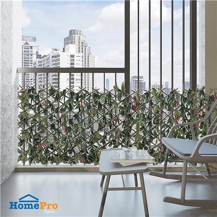 EXPANDING TRELLIS SPRING PHOTIN 200X100CM [EXCLUSIVE FROM HOMEPRO THAILAND]
