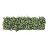 EXPANDING TRELLIS ME LIVING EUCA 200X100CM [EXCLUSIVE FROM HOMEPRO THAILAND]
