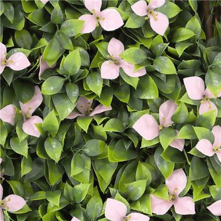 EXPANDING TRELLIS SPRING BERRY 200X100CM [EXCLUSIVE FROM HOMEPRO THAILAND]