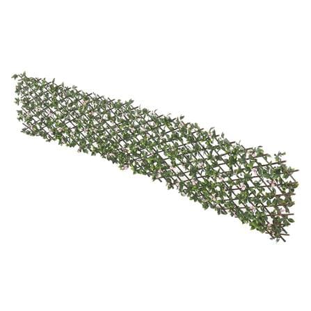 EXPANDING TRELLIS SPRING BERRY 200X100CM [EXCLUSIVE FROM HOMEPRO THAILAND]