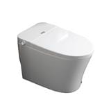 MD 1P TOILET MINIMA PLUS 250 5L WHITE