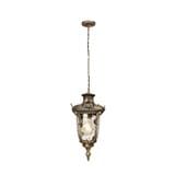 PRE-ORDER BRIGHT OBJECTIVES PENDANT OUTDOOR LAMP 8830/P E27 ANTIQUE BRASS
