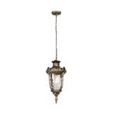 PRE-ORDER BRIGHT OBJECTIVES PENDANT OUTDOOR LAMP 8829/P 900MM E27 ANTIQUE BRASS