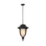 PRE-ORDER BRIGHT OBJECTIVES PENDANT OUTDOOR LAMP 8832/P 900MM E27 BLACK