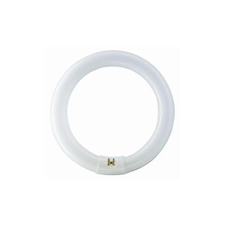 MINLITE 32W T9 FLUORESCENT CIRCULAR TUBE DAYLIGHT 6500K