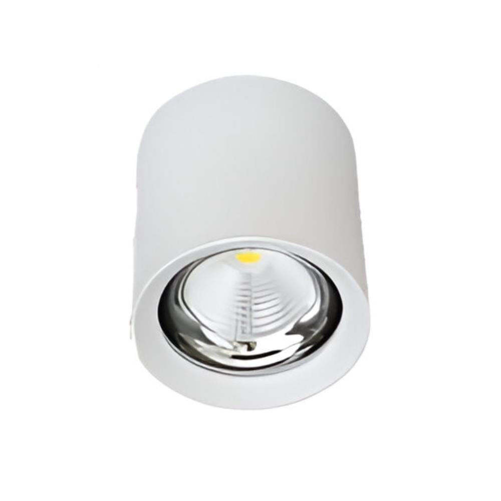 PRE-ORDER BRIGHT OBJECTIVES SURFACE EYEBALL LED B-308-20W 4000K WHITE