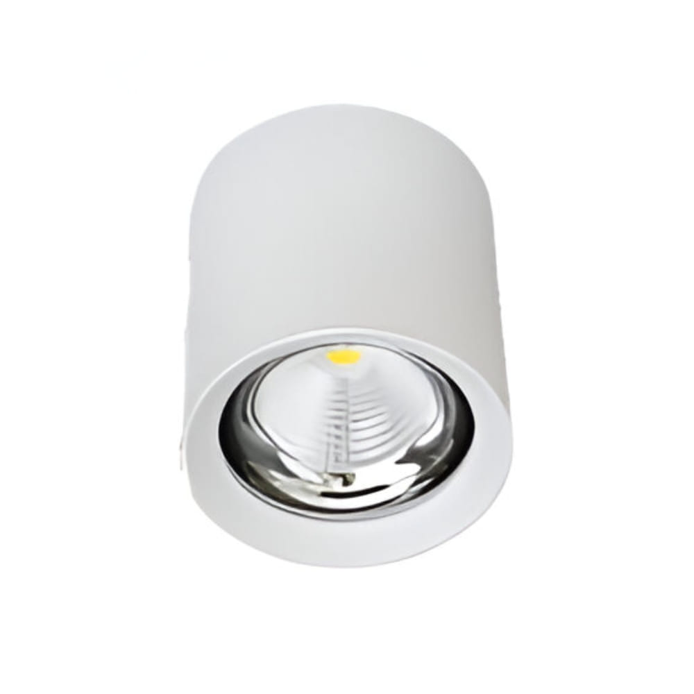 PRE-ORDER BRIGHT OBJECTIVES SURFACE EYEBALL LED B-308-20W 4000K WHITE