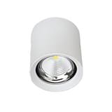 PRE-ORDER BRIGHT OBJECTIVES SURFACE EYEBALL LED B-308-20W 3000K WHITE