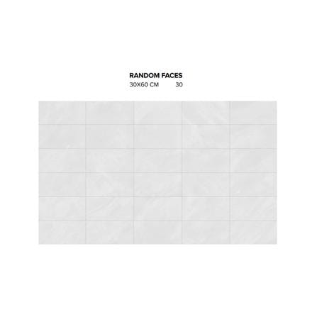 GUOCERA FLOORTILE 30X60CM P-ARDESIA SR5085A BONE 1.44M2