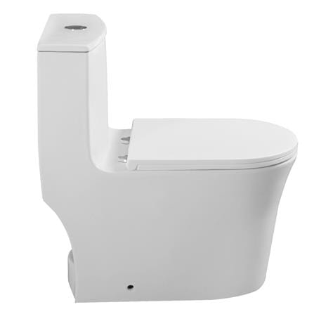 AKRON 1P TOILET WCO-89001 CYCLONE FLUSH S-TRAP 250MM WHITE