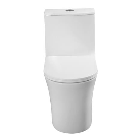 AKRON 1P TOILET WCO-89001 CYCLONE FLUSH S-TRAP 250MM WHITE