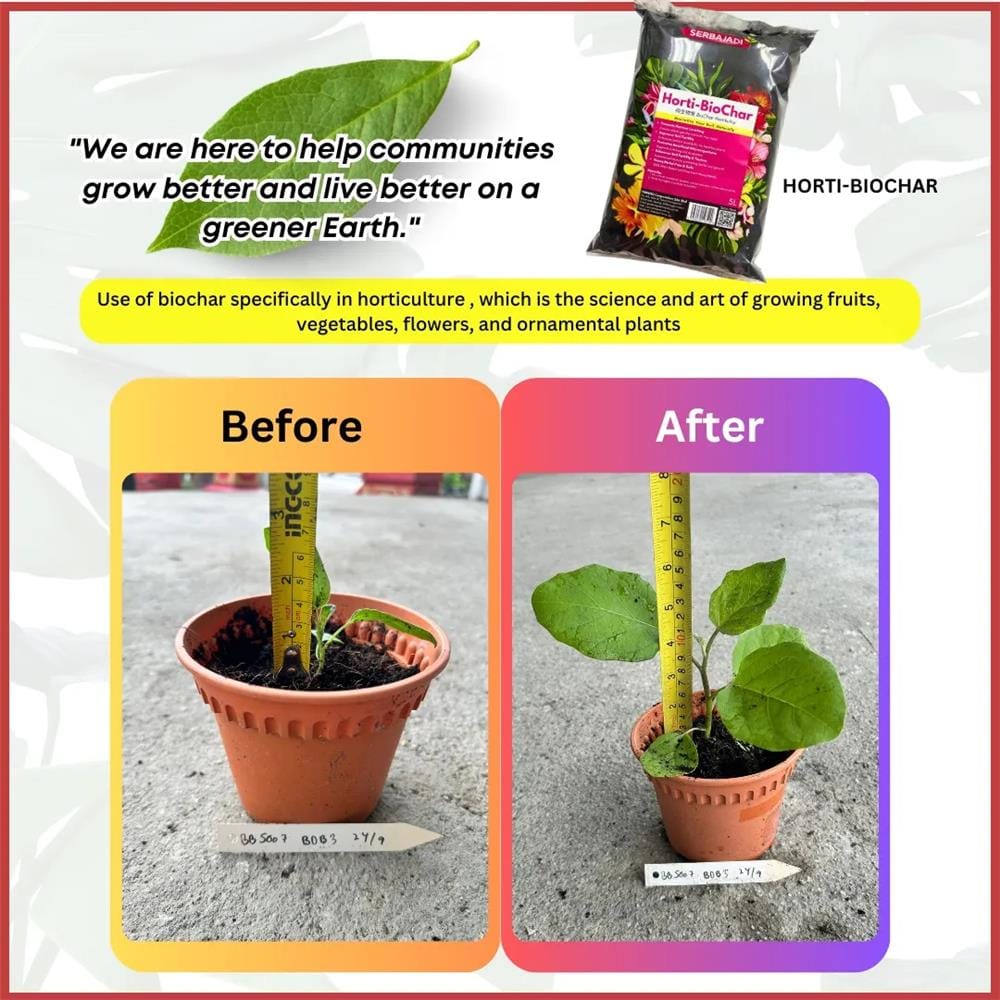 SERBAJADI HORTI-BIOCHAR (5L)