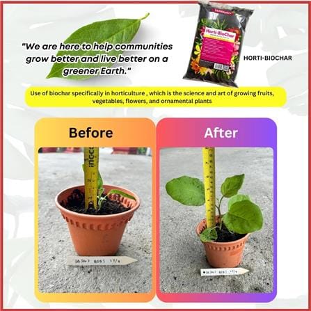 SERBAJADI HORTI-BIOCHAR (5L)