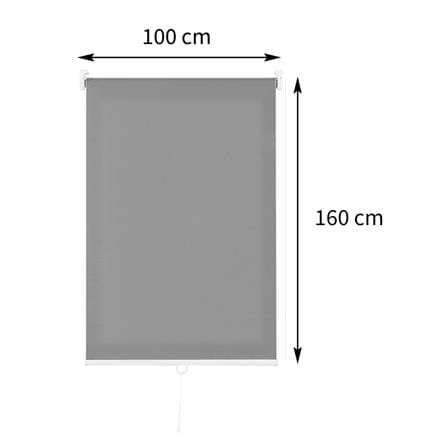 HLS CORD. ROLLER BLIND DIO 100X160 GY [EXCLUSIVE FROM HOMEPRO THAILAND]