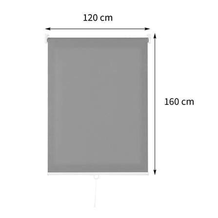 HLS CORD. ROLLER BLIND DIO 120X160 DK.GREY  [EXCLUSIVE FROM HOMEPRO THAILAND]
