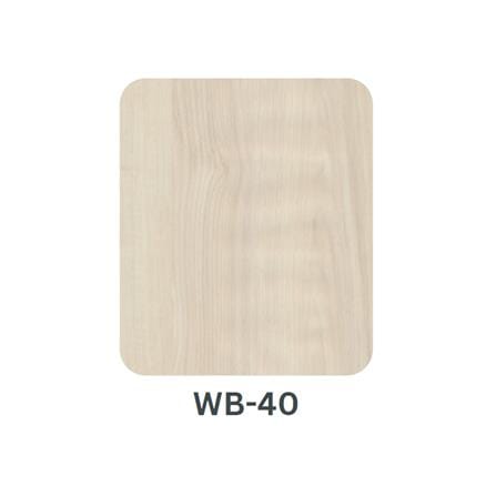 ECOCLASS WOOD VENTURE BOARD WB-40 300X120 3.6M2