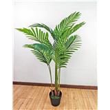 CL ARECA PALM TREE 130CM GP622