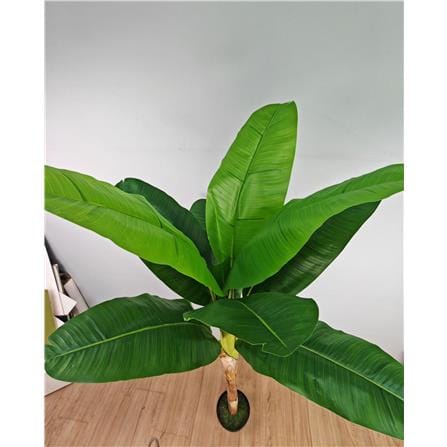 CL BANANA PALM TREE 165CM GP623