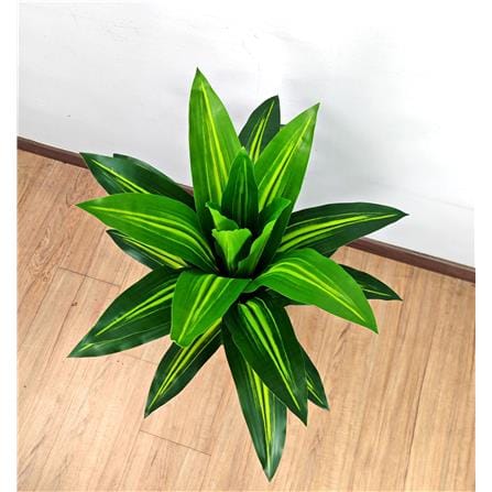 CL DRACAENA BRAZIL TREE 85CM GP621