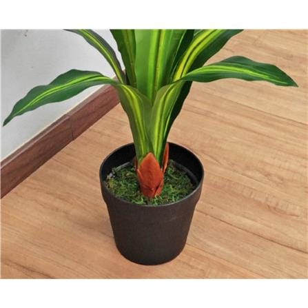 CL DRACAENA BRAZIL TREE 85CM GP621