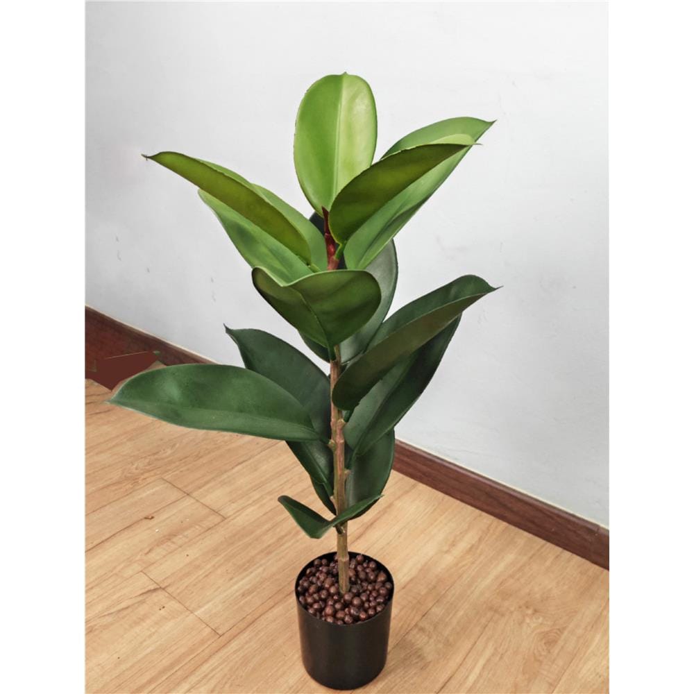 CL FICUS ELASTICA TREE 73CM GP620