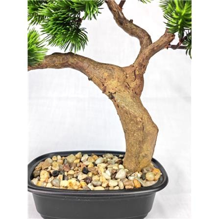 CL BONSAI BEAUTY PINE POTTED 32CM GP550