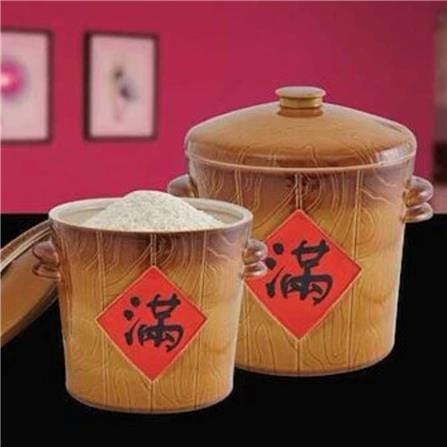 CLAYTAN RICE CONTAINER WITH LID 5KG - WMA 91