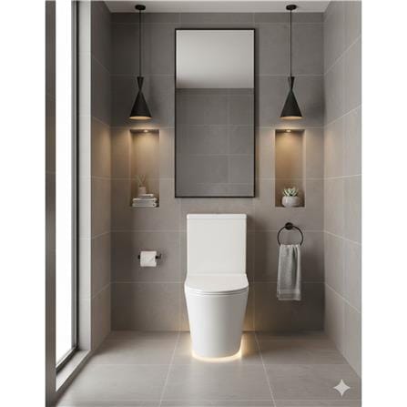 JOHNSON SUISSE VICENZA RIMLESS 2P TOILET WBSC950170WW S-TRAP 250MM