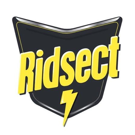 RIDSECT AEROSOL ADVANCE - 270ML