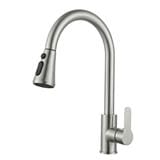 LIVINOX PULL OUT SINK FAUCET LST-P02 MATT