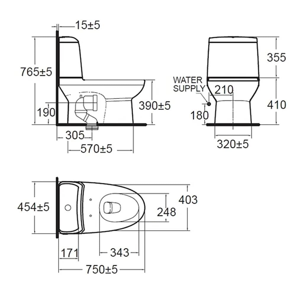 AMERICAN STANDARD ACACIA SUPASLEEK TWO PIECE TOILET CL23075-6DAMYCBT S-TRAP 300MM