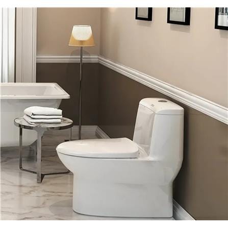 AMERICAN STANDARD ACACIA SUPASLEEK TWO PIECE TOILET CL23075-6DAMYCBT S-TRAP 300MM