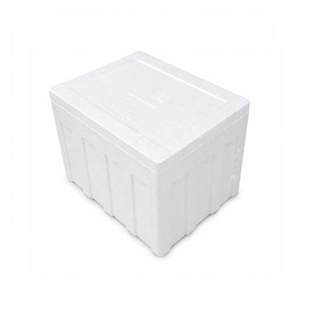POLYSTYRENE COOLER FOAM BOX (S) 31X21 X25.5CM
