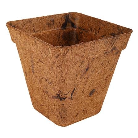 COCONUT FIBER POT SPRING 6" BROWN SQUARE 6PCS/PACK