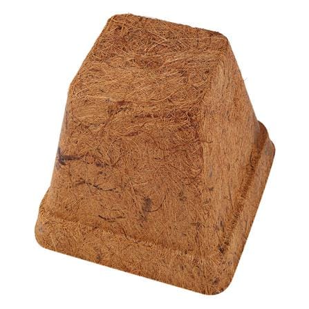 COCONUT FIBER POT SPRING 6" BROWN SQUARE 6PCS/PACK