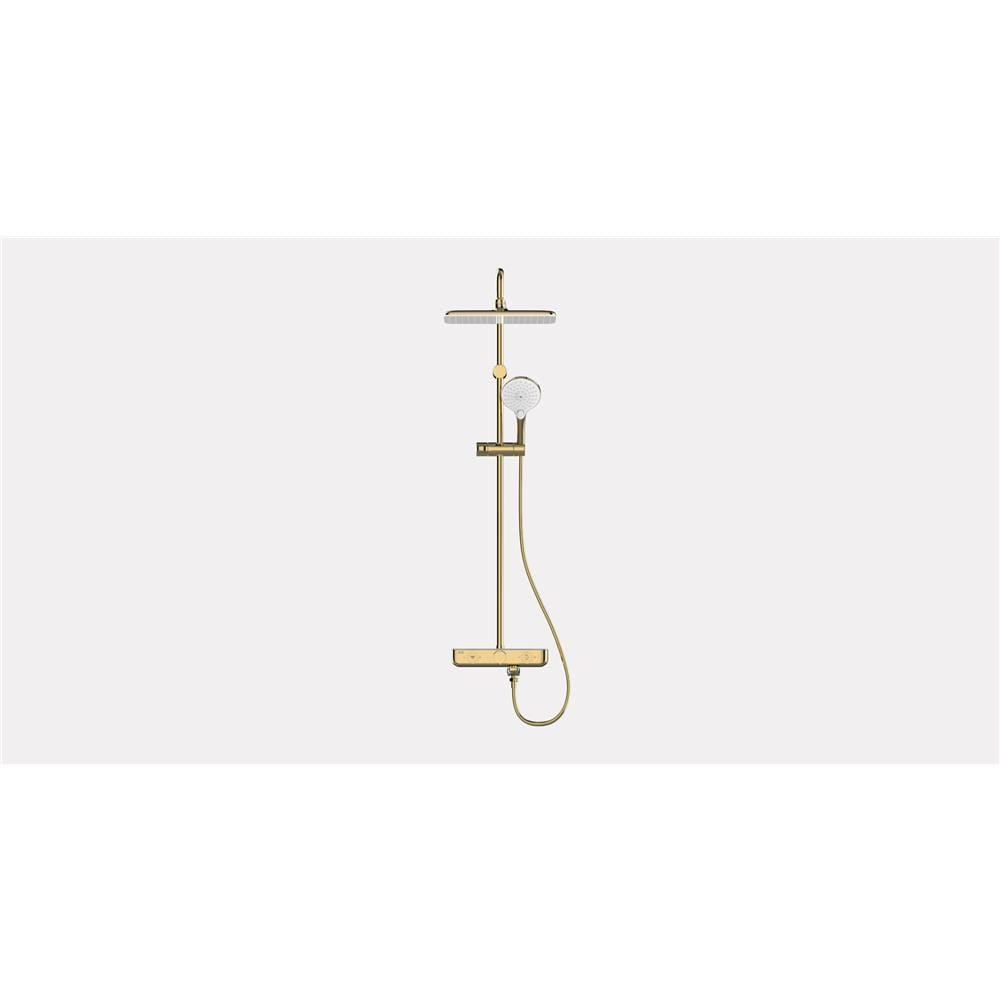 AMERICAN STANDARD EASYSET RAIN SHOWER FFAS4956-601GL0BF0 COOL SUNRISE